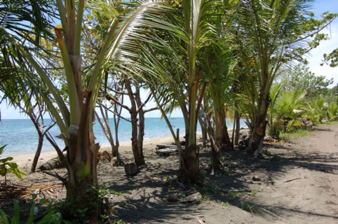 Puerto Viejo